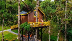 Pousada Paraíso das Araucárias